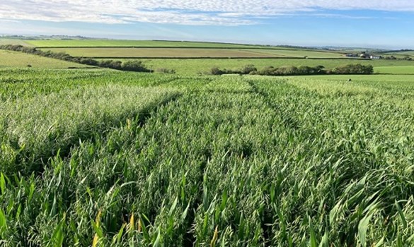 Recommended Lists (RL) oats plots